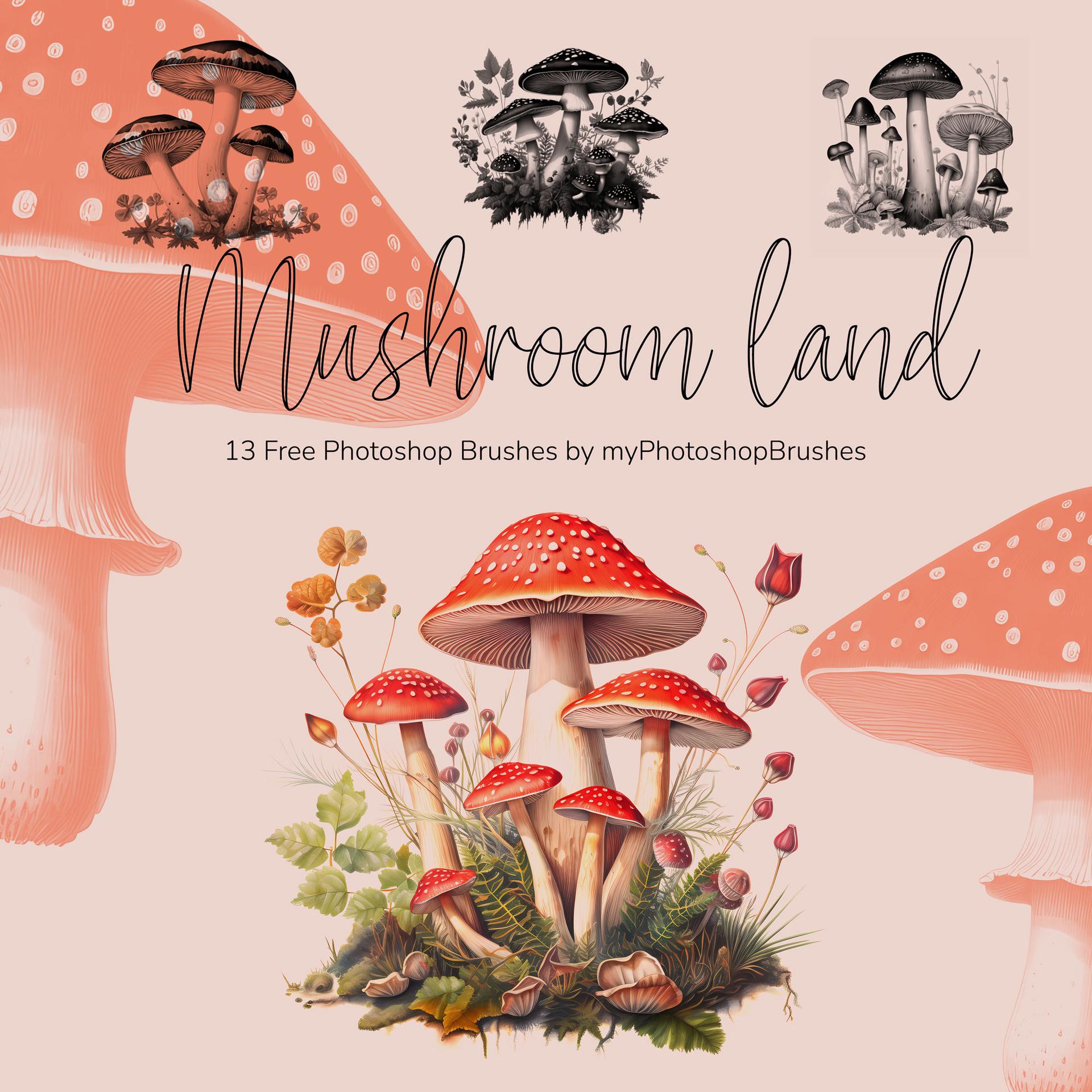 Mushroom Land