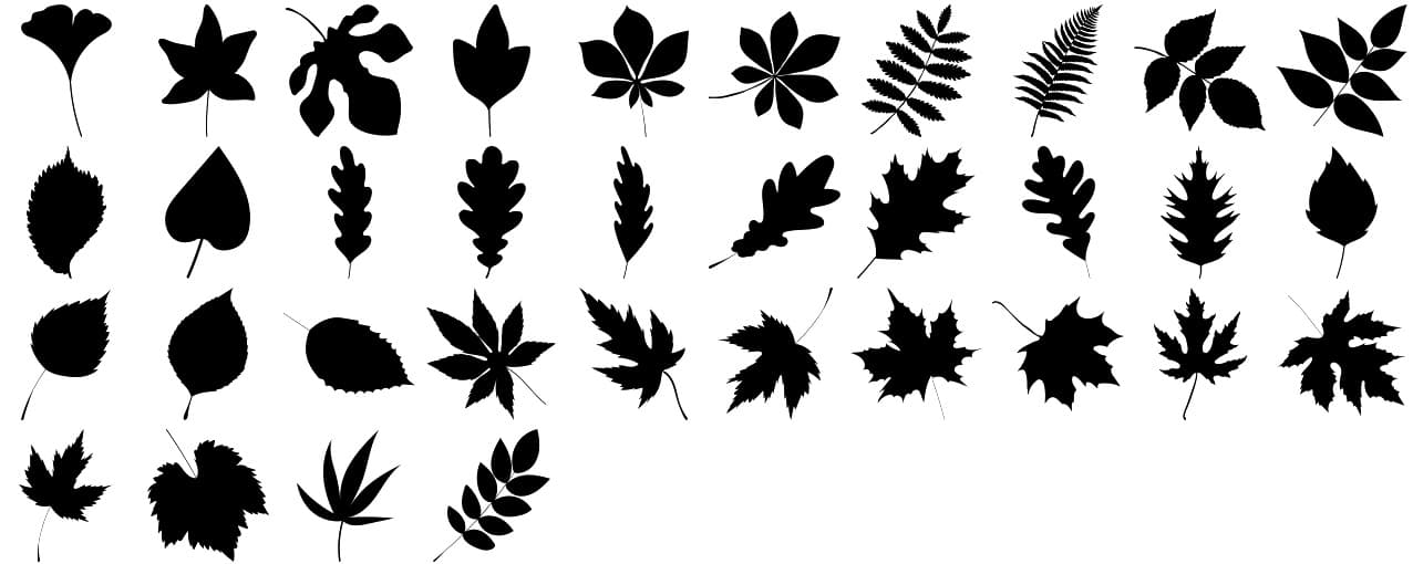 Leaf Custom Shapes - Schematic