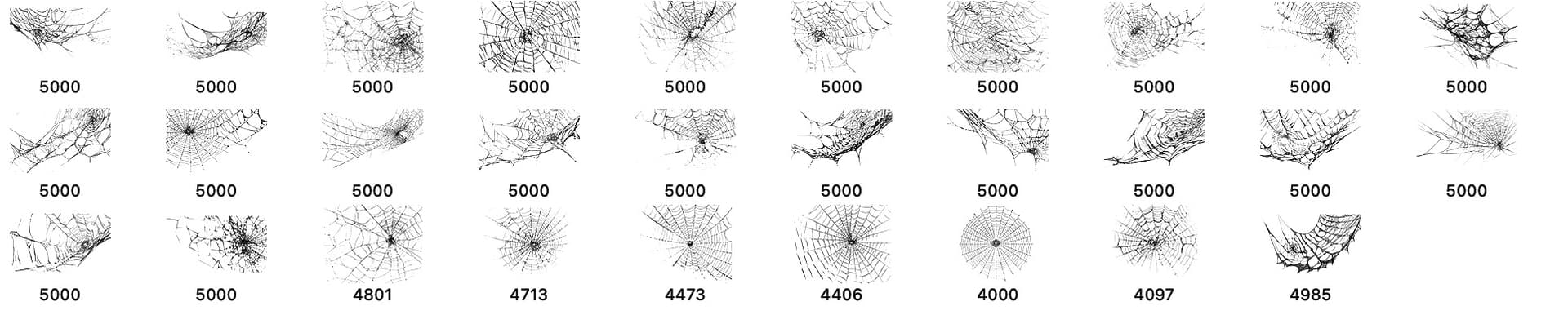 Spider Web Photoshop Brushes - Schematic