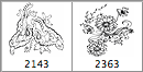 Floral Brush - Schematic