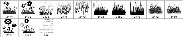 Floral Brushes for Photoshop - Schematic