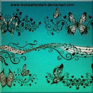 Ornamental ButterFly