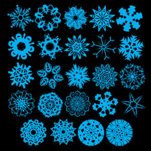 96 Snowflake Brushes