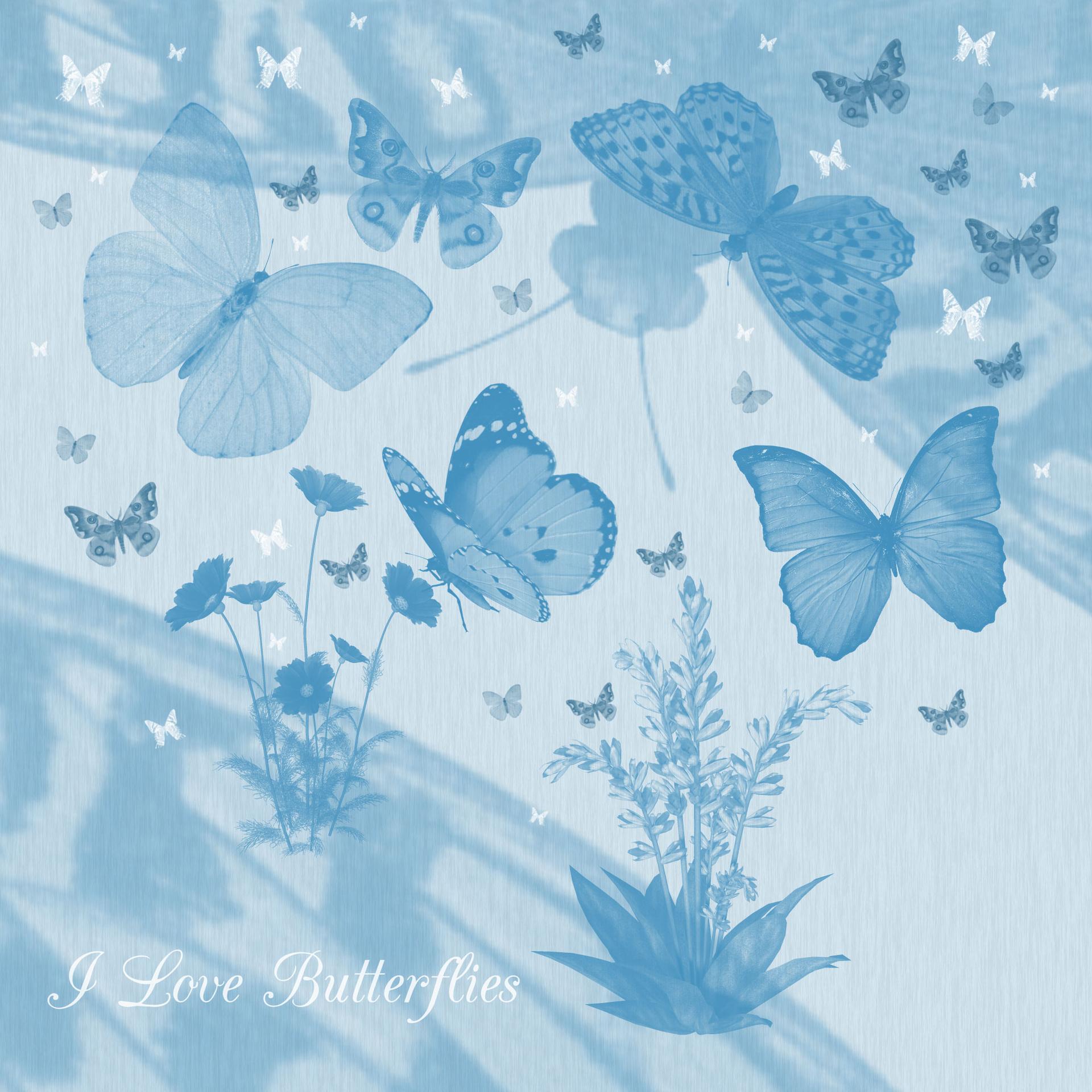 Butterfly and Flower Brushes - Preview 1