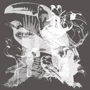 Free Birds Brushes Collection