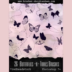 Butterflies and Trails