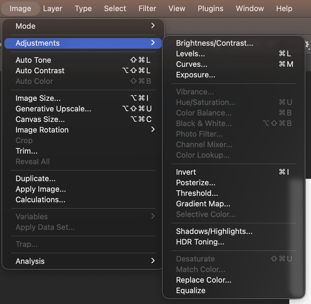 The Image, Adjustments submenu with color adjustments greyed out in Grayscale mode