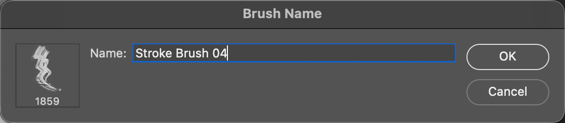 The Brush Name dialog showing the brush preview and a size of 1859 pixels