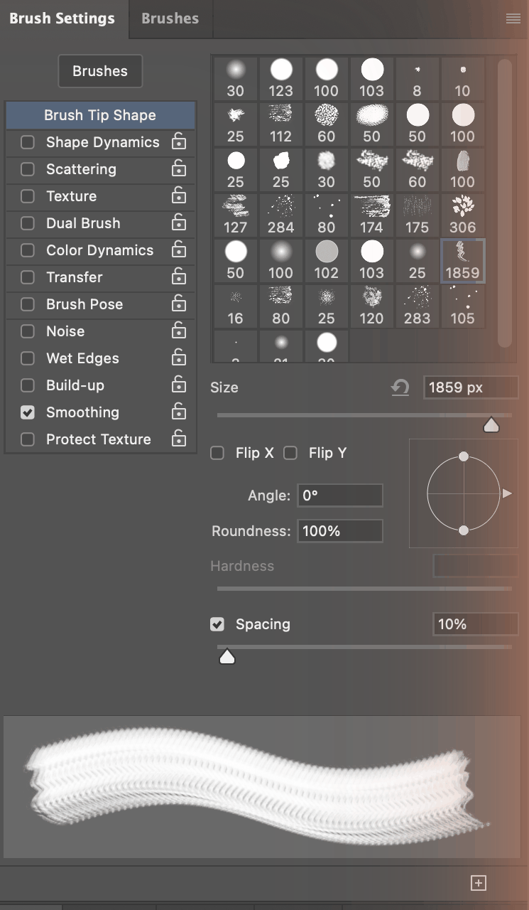 The Brush Settings panel showing Brush Tip Shape options and Spacing