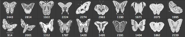 Vintage Butterflies SET 1 Brushes - Free ABR Download | MyPhotoshopBrushes