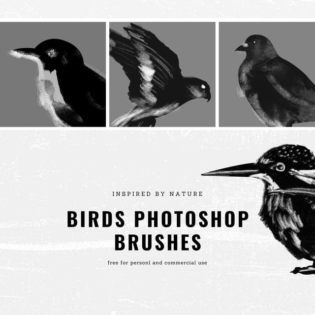 Free Animals Resources — Photoshop Brushes & Downloads | MyPhotoshopBrushes
