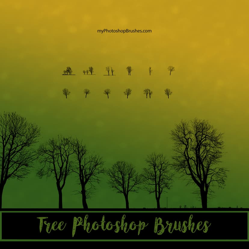 Tree Top View Photoshop Brushes - Free ABR Download | MyPhotoshopBrushes